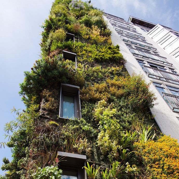 Vertical Gardening: Making the Most of Limited Space