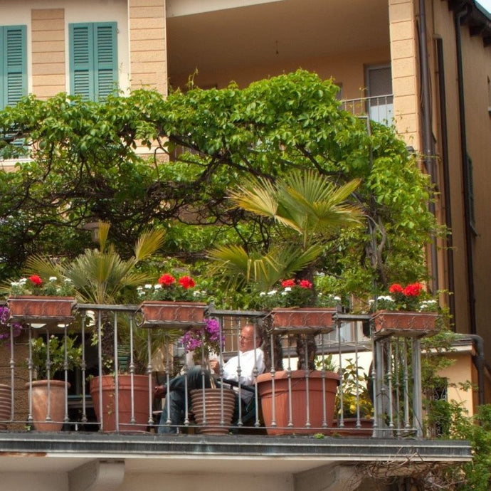 Balcony Garden Ideas for Beginners