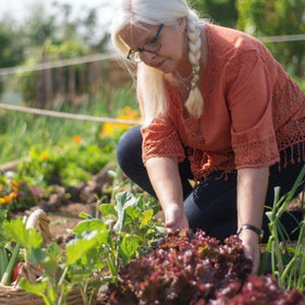 easy vegetables to grow