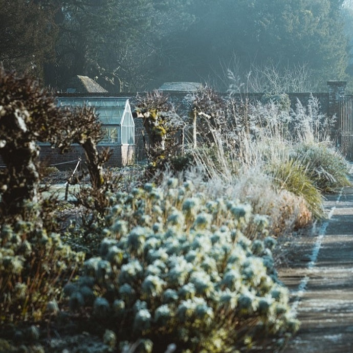 10 Garden Jobs for Winter Roots Plants