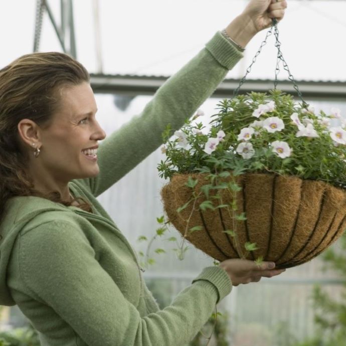 Winter Hanging Baskets: Ideas, Plants & Tips
