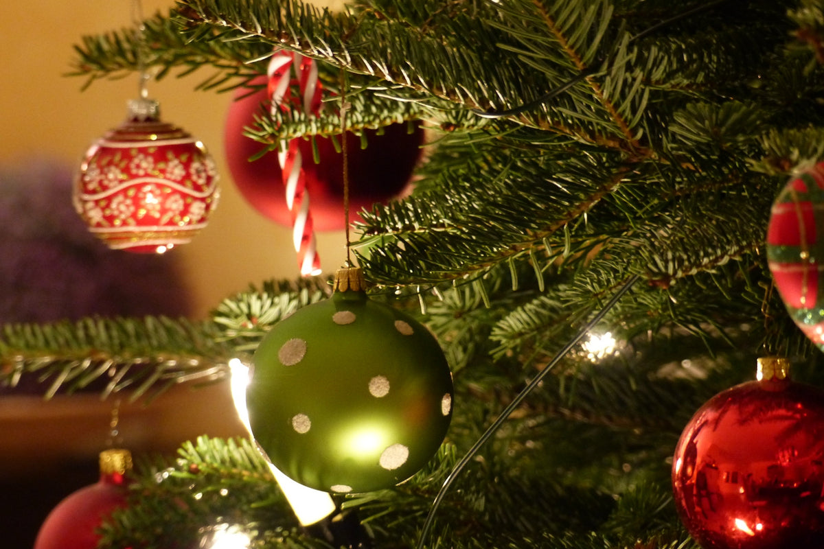 Real Christmas Trees Delivered from UK Growers Roots Plants