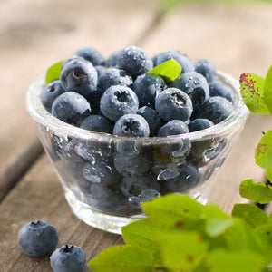 'Hortblue Petite' Blueberry Bush Soft Fruit