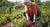 easy vegetables to grow
