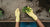 Garden Jobs for August