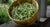 How to Grow Runner Beans