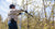 pruning cherry trees