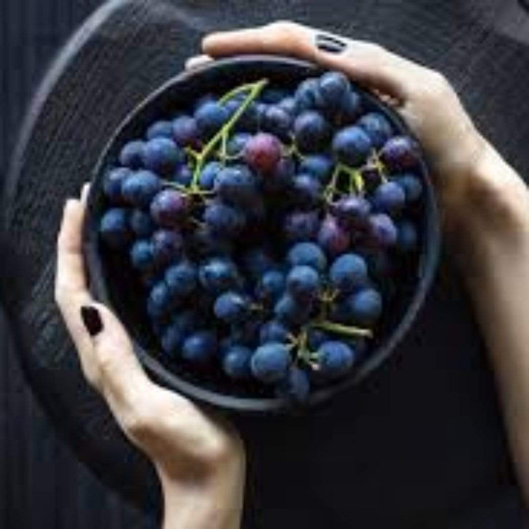 'Vanessa' Seedless Outdoor Grape Vine Roots Plants