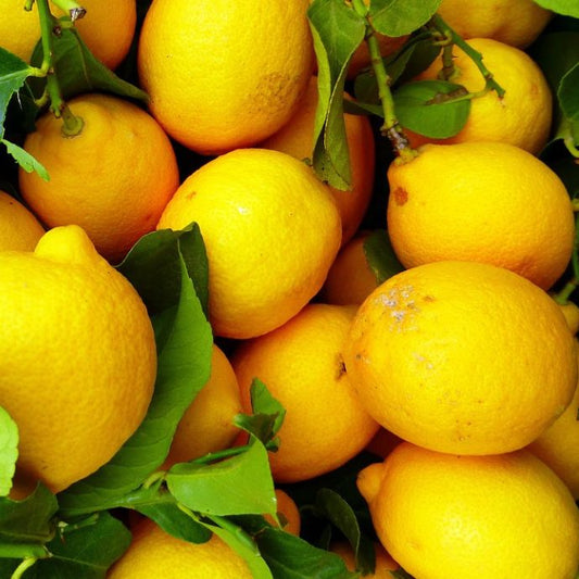 Collection of lemons