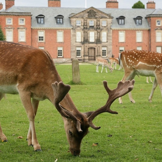 dunham massey garden
