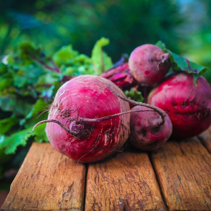 Beetroots on a bench