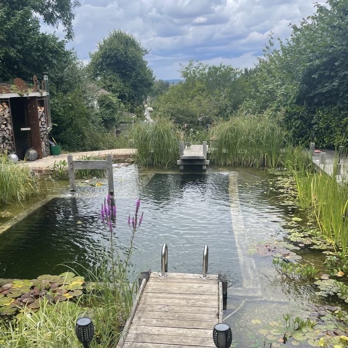 Cotswold Natural Swimming Pond - August Garden of the Month