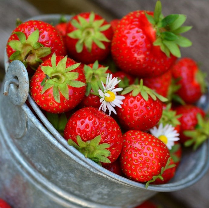 How to Grow Strawberries in the UK