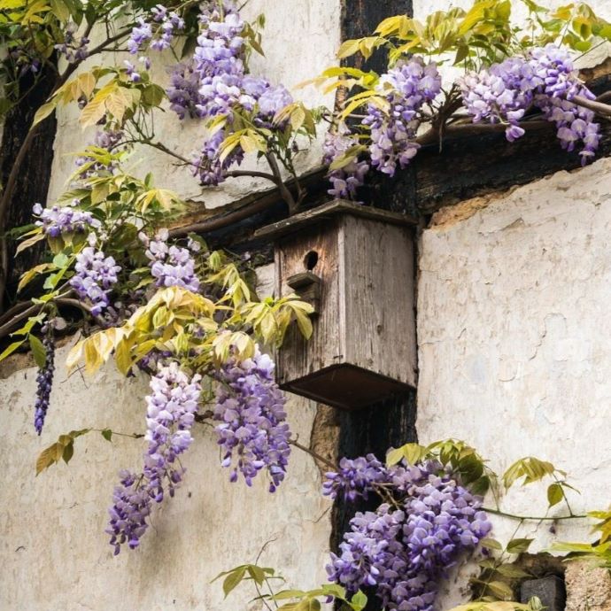 The 5 Best Climbers for Walls