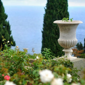 coastal garden plants