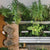 urban garden ideas