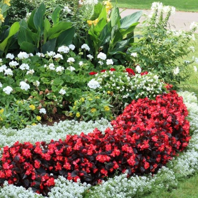 design flower bed