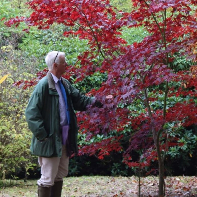 east bergholt place gardens