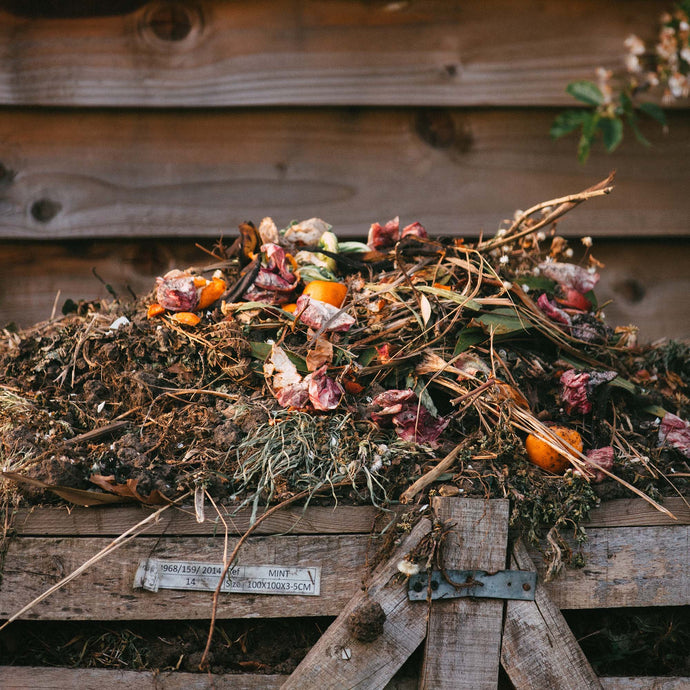 Is All Compost the Same?