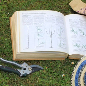 gardening terms
