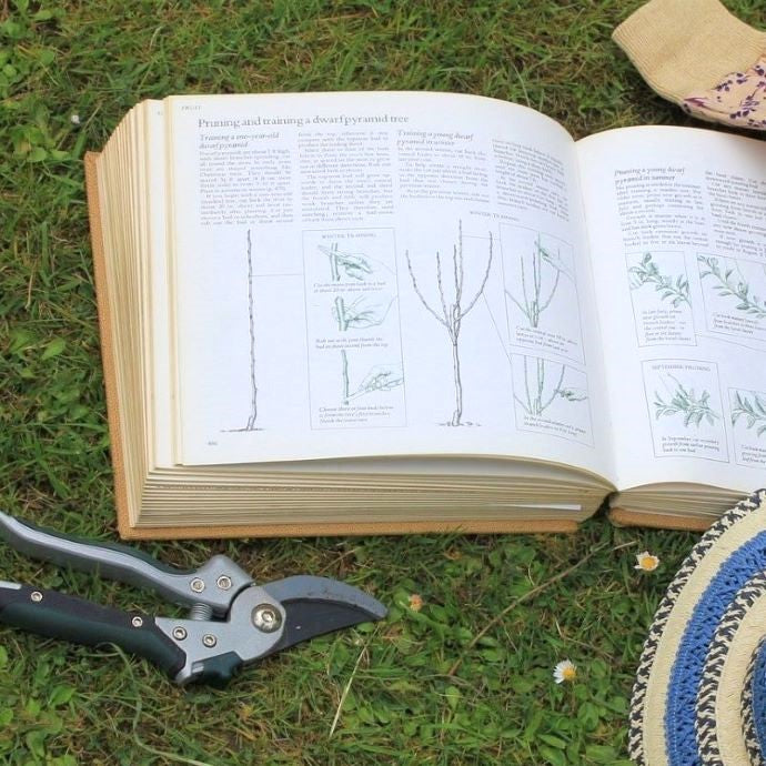 Garden Jargon Buster: Gardening Terminology Explained