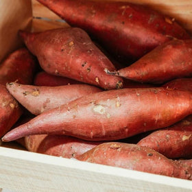 growing sweet potatoes