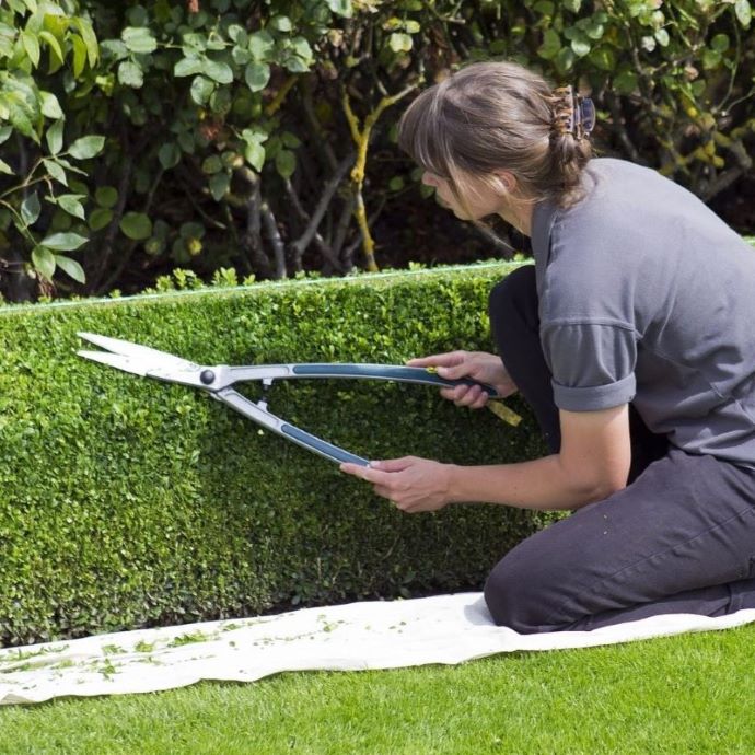 Hedge Cutting: A Beginner’s Guide