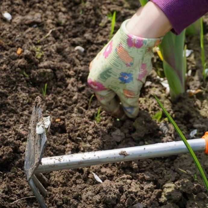 Why and How Do We Weed?