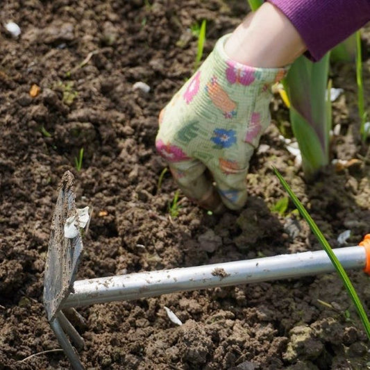 how to weed