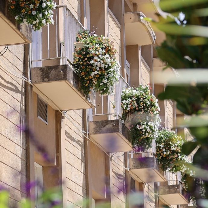 Rental Garden Ideas