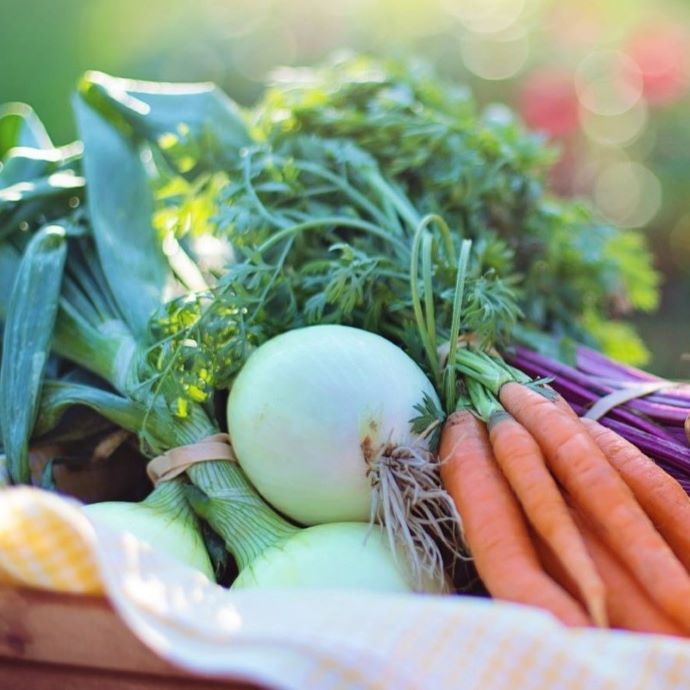 Storing Vegetables Grown at Home