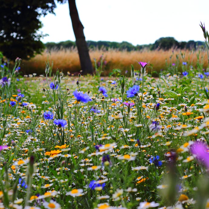 Top 9 Gardens Jobs For July
