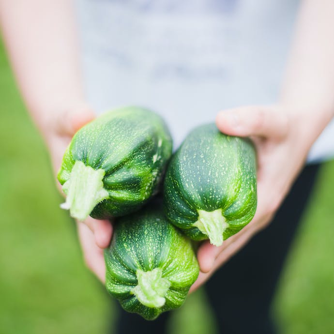 How To Get The Best From Your Vegetable Plants