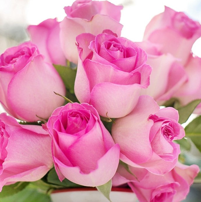 What Do Roses Really Smell Of? Roots Plants