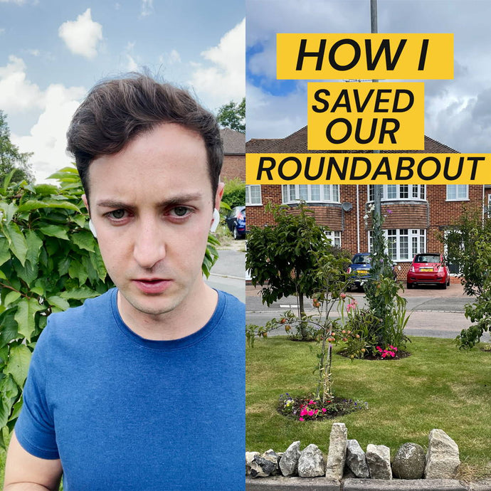 How I Saved Our Roundabout