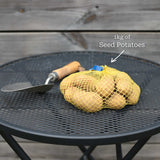 'Marvel' Maincrop Seed Potatoes Vegetables