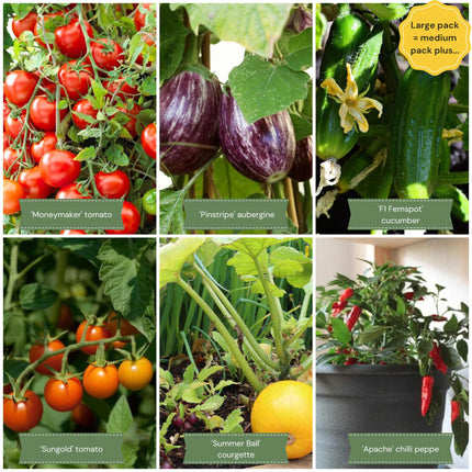 Greenhouse Grower’s Vegetable Collection Vegetables