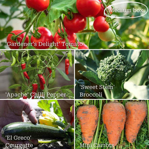 Allotment in a Box | Homegrown Heroes Collection Vegetables