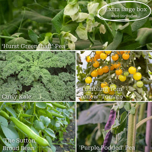 Allotment in a Box | Homegrown Heroes Collection Vegetables