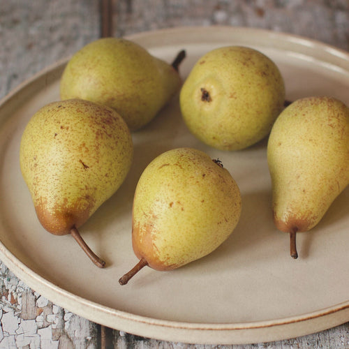 'Petite Poire' Pear Tree Fruit Trees