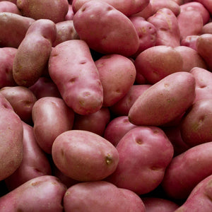 'Desiree' Maincrop Seed Potatoes Vegetables
