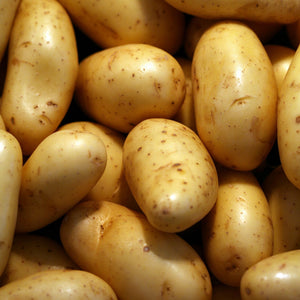 'Charlotte' Second Early Salad Seed Potatoes Vegetables