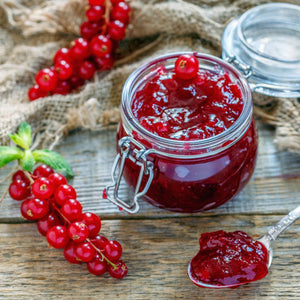 'Laxton's Number One' Redcurrant Plant Soft Fruit