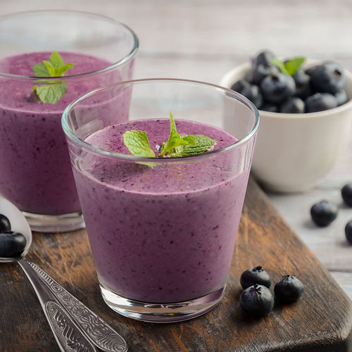 'Jersey' Blueberry Bush Soft Fruit