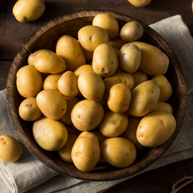 'Caledonian Pearl' First Early Seed Potatoes Vegetables