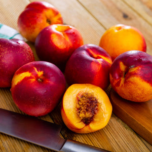 'Red Gold' Nectarine Tree Fruit Trees