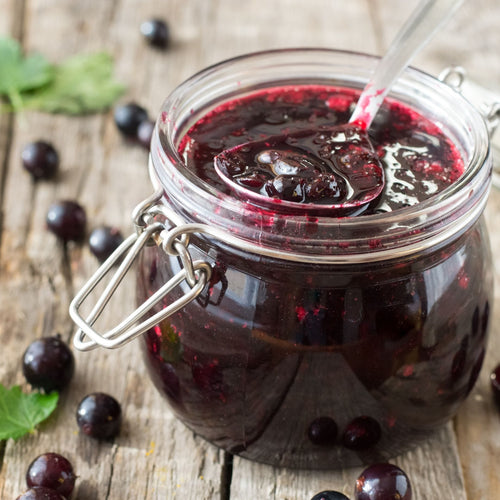 'Titania' Blackcurrant Bush Soft Fruit