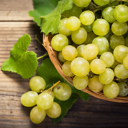 'Exalta' Outdoor Grape Vine Soft Fruit