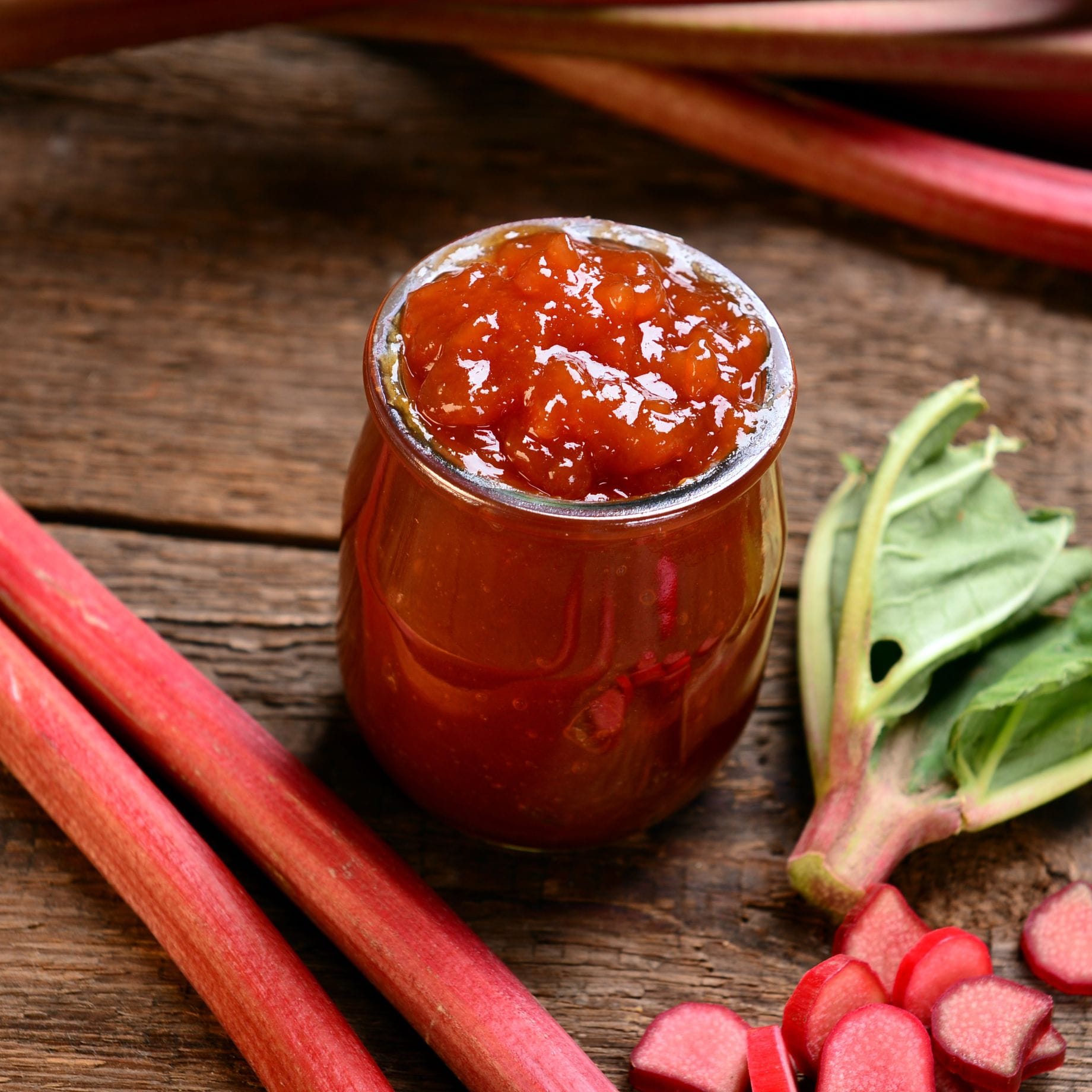 Founders Raspberry Rhubarb 'Raspberry Red' Rhubarb Plant – Roots Plants
