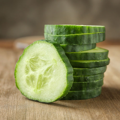 'Ridge Perfection' Cucumber Plants Vegetables